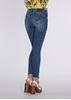 Immagine di Jeans jeggings up Gaudi art. 811BD26013